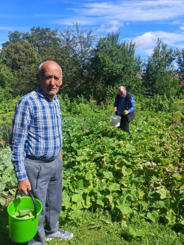 22_07_Panowie zebrali ogórki🥒,koper i chrzan, Panie umyły i włożyły do słoików🫙,a Pan Janek dokręcał zakrętki